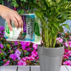 Discount ⌛ 2 lb. Ready-to-Use Slug and Snail Bait Killer by Garden Safe ⌛ -Organic Gardening Shop garden safe insect killer granules hg 4536 9 40 1000