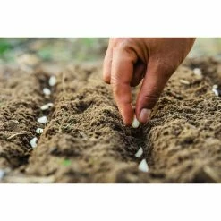Brand new ✔️ 11 lbs. Coco Coir Potting Soil for Indoor Plants &Outdoor Plants, The Coconut Coir Potting Mix is Great for Microgreens by Teton Distribution 🔥 -Organic Gardening Shop garden soil 0012001 1f 1000