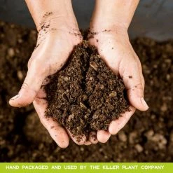 Top 10 🌟 Carnivorous Plant Soil - Sphagnum Peat Moss Perlite Mix 1:1 Ratio - For Venus Fly Traps, Sundews, and Pitcher Plants by KILLER PLANT COMPANY 😀 -Organic Gardening Shop garden soil 1 4f 1000