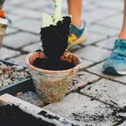 Outlet π₯ IndiCanja Organic Living Plant Based Compost Soil (2-Pack) by PURPLE COW ORGANICS π 12 Outlet π₯ IndiCanja Organic Living Plant Based Compost Soil (2-Pack) by PURPLE COW ORGANICS π -Organic Gardening Shop garden soil 2 x b07zg172z4 4f 1000