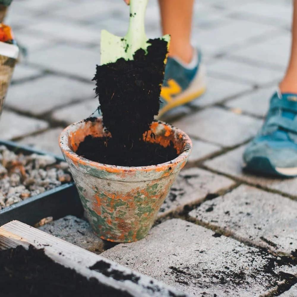 Outlet π₯ IndiCanja Organic Living Plant Based Compost Soil (2-Pack) by PURPLE COW ORGANICS π 4 Outlet π₯ IndiCanja Organic Living Plant Based Compost Soil (2-Pack) by PURPLE COW ORGANICS π - Image 4