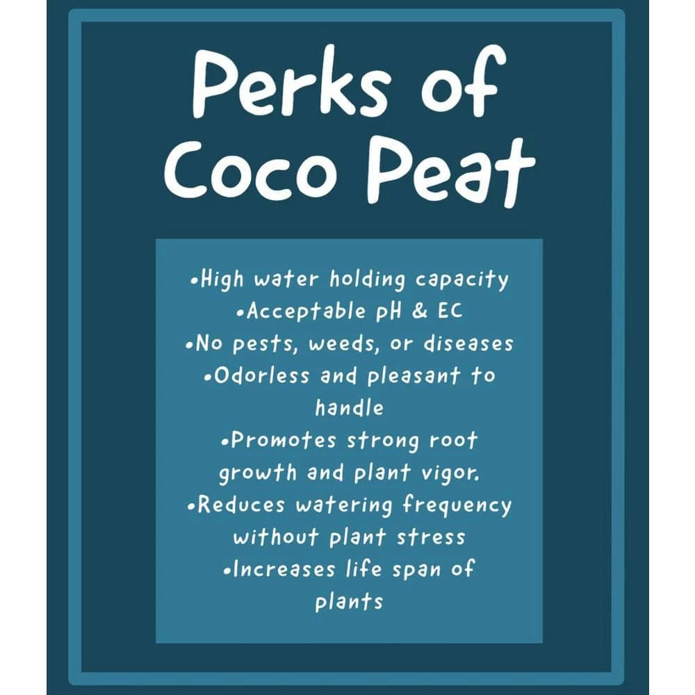 Flash Sale βοΈ Coco Peat Brick (3-Set) by Garden Supply π 3 Flash Sale βοΈ Coco Peat Brick (3-Set) by Garden Supply π - Image 3