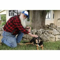 Wholesale 😀 All-Natural Tick Repellent (2-Pack) by GRANDPA GUS'S 🛒 -Organic Gardening Shop grandpa gus s bug killer spray gtk 4 bag 2 31 1000