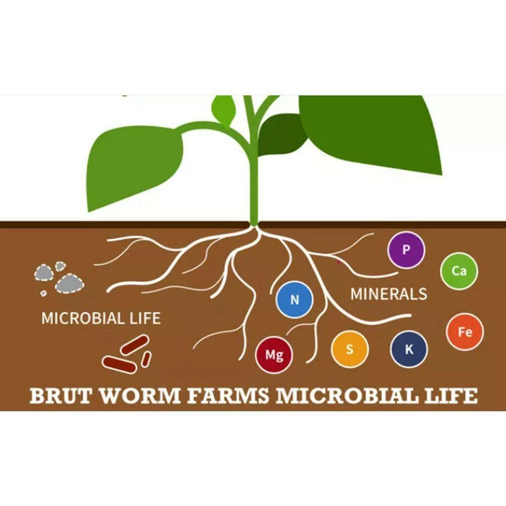 Best reviews of π Organic Worm Castings Soil Builder, 30 Pound Bag (10-Pack) by Brut Worm Farms π€© 3 Best reviews of π Organic Worm Castings Soil Builder, 30 Pound Bag (10-Pack) by Brut Worm Farms π€© - Image 3