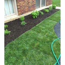 Discount β 1 Cu. Ft. Bag Premium Organic Garden Soil Conditioner (3-Pack) by WAKEFIELD BIOCHAR π 19 Discount β 1 Cu. Ft. Bag Premium Organic Garden Soil Conditioner (3-Pack) by WAKEFIELD BIOCHAR π -Organic Gardening Shop grow media 3 x wfbcsc bag 40 31 1000