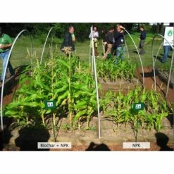 Discount β 1 Cu. Ft. Bag Premium Organic Garden Soil Conditioner (3-Pack) by WAKEFIELD BIOCHAR π 17 Discount β 1 Cu. Ft. Bag Premium Organic Garden Soil Conditioner (3-Pack) by WAKEFIELD BIOCHAR π -Organic Gardening Shop grow media 3 x wfbcsc bag 40 fa 1000