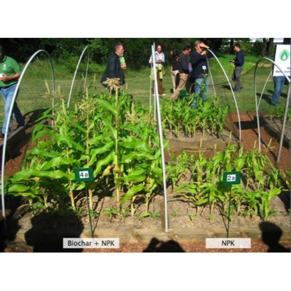 Discount β 1 Cu. Ft. Bag Premium Organic Garden Soil Conditioner (3-Pack) by WAKEFIELD BIOCHAR π 8 Discount β 1 Cu. Ft. Bag Premium Organic Garden Soil Conditioner (3-Pack) by WAKEFIELD BIOCHAR π - Image 8