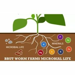 Cheapest 💯 Organic Worm Castings Soil Builder, 30 Pound Bag (4-Pack) by Brut Worm Farms 😀 -Organic Gardening Shop grow media 4 x ic pnpe msk3 4f 1000
