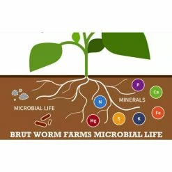 Buy 🌟 Organic Worm Castings Soil Builder, 30 lbs. Bag (8-Pack) by Brut Worm Farms ⭐ -Organic Gardening Shop grow media 8 x ic pnpe msk3 1f 1000