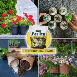 Top 10 ❤️ 36 Gal. Expanding Coco Coir Pith (16 Brick/4-Pack) and 8 Dry Qt. Premium Horticultural Perlite by Harris ⌛ 11 Top 10 ❤️ 36 Gal. Expanding Coco Coir Pith (16 Brick/4-Pack) and 8 Dry Qt. Premium Horticultural Perlite by Harris ⌛ -Organic Gardening Shop harris grow media 4coco4 perl8 66 1000