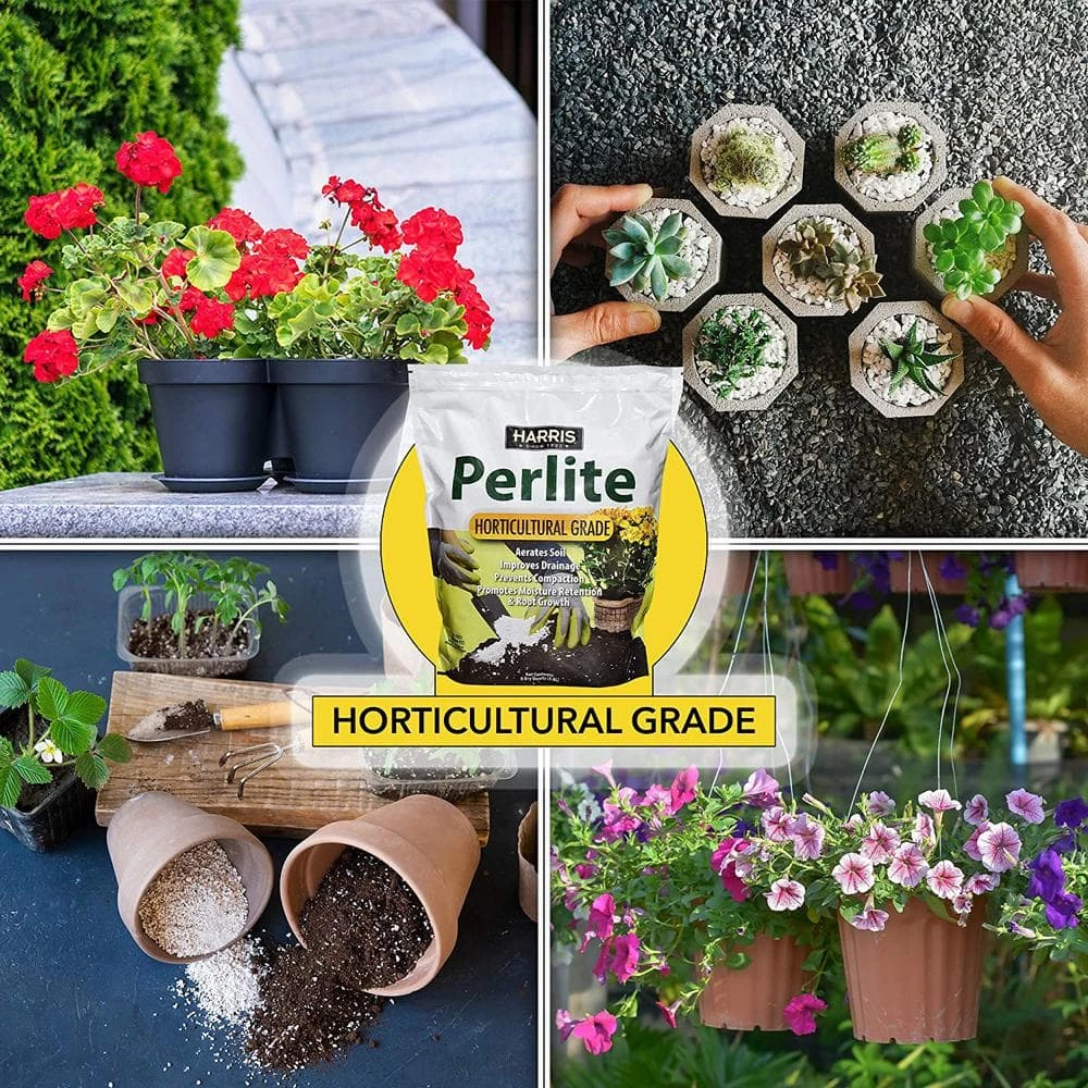 Top 10 ❤️ 36 Gal. Expanding Coco Coir Pith (16 Brick/4-Pack) and 8 Dry Qt. Premium Horticultural Perlite by Harris ⌛ 3 Top 10 ❤️ 36 Gal. Expanding Coco Coir Pith (16 Brick/4-Pack) and 8 Dry Qt. Premium Horticultural Perlite by Harris ⌛ - Image 3