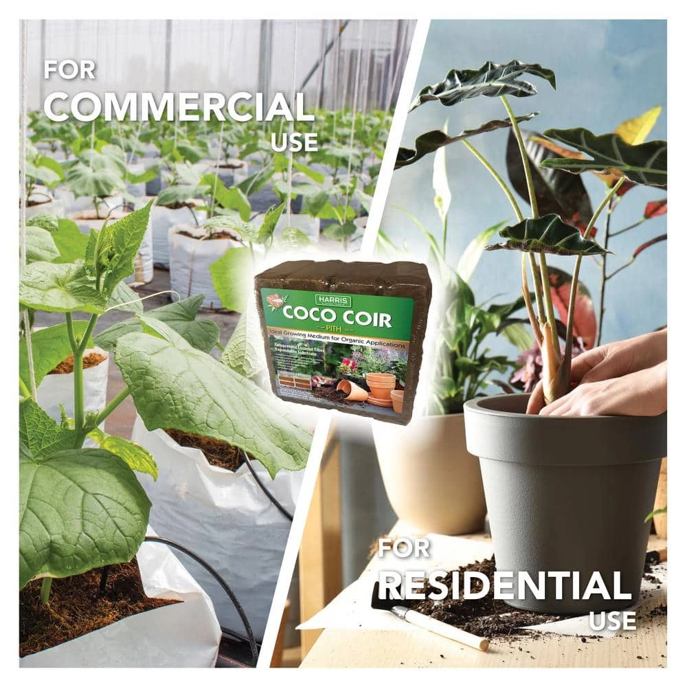Deals 𧨠9 Gal. Expanding Coco Coir Pith (4 Brick Pack) and 8 Dry Qt. Premium Horticultural Perlite by Harris π 7 Deals 𧨠9 Gal. Expanding Coco Coir Pith (4 Brick Pack) and 8 Dry Qt. Premium Horticultural Perlite by Harris π - Image 7