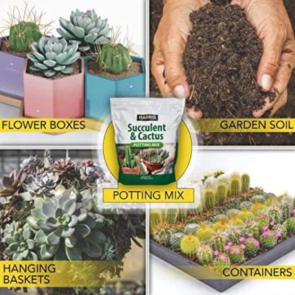 Best reviews of π₯° 9 Gal. Expanding Coco Coir Pith (4 Brick pack) & 4Qt. Succulent and Cactus Potting Soil Mix by Harris π 4 Best reviews of π₯° 9 Gal. Expanding Coco Coir Pith (4 Brick pack) & 4Qt. Succulent and Cactus Potting Soil Mix by Harris π - Image 4