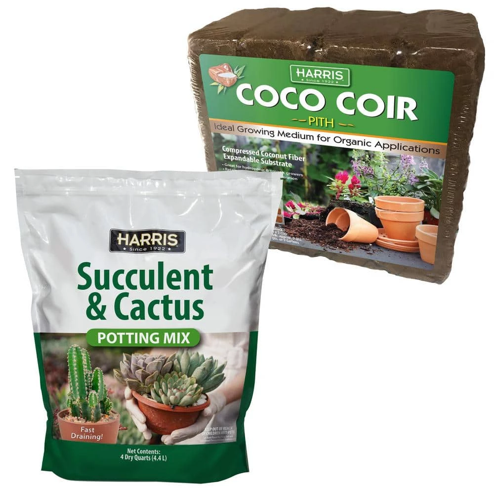 Best reviews of π₯° 9 Gal. Expanding Coco Coir Pith (4 Brick pack) & 4Qt. Succulent and Cactus Potting Soil Mix by Harris π 1 Best reviews of π₯° 9 Gal. Expanding Coco Coir Pith (4 Brick pack) & 4Qt. Succulent and Cactus Potting Soil Mix by Harris π