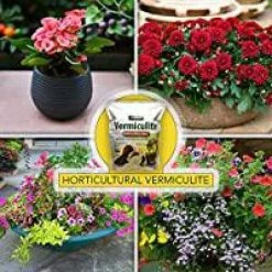 Hot Sale π 8 Qt. Premium Horticultural Vermiculite for Indoor Plants and Gardening by Harris 𧨠6 Hot Sale π 8 Qt. Premium Horticultural Vermiculite for Indoor Plants and Gardening by Harris 𧨠-Organic Gardening Shop harris grow media verm 8 4f 1000