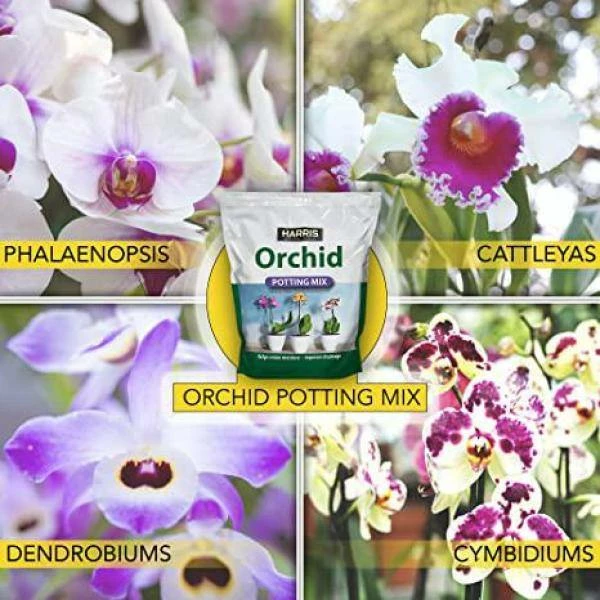 Outlet π€© 8 Qt. Premium Horticultural Vermiculite for Indoor Plants and 4 Qt. Premium Orchid Potting Mix by Harris π 4 Outlet π€© 8 Qt. Premium Horticultural Vermiculite for Indoor Plants and 4 Qt. Premium Orchid Potting Mix by Harris π - Image 4