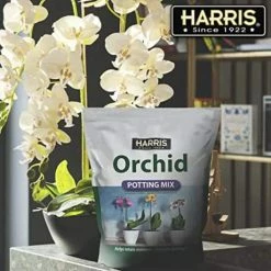 Cheap 🧨 4 Qt. Premium Orchid Potting Mix (2-Pack) by Harris 🌟 -Organic Gardening Shop harris organic potting soil 2orchid 4 fa 1000