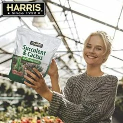 Wholesale 🔥 4qt. Succulent and Cactus Potting Soil Mix (2-Pack) by Harris 🔥 -Organic Gardening Shop harris organic potting soil 2succl 4 1f 1000