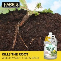 Budget 🧨 128 oz. Sea Salt Weed and Grass Killer (2-Pack) by Harris 🔥 -Organic Gardening Shop harris organic weed killer 2seaweed128 4f 1000