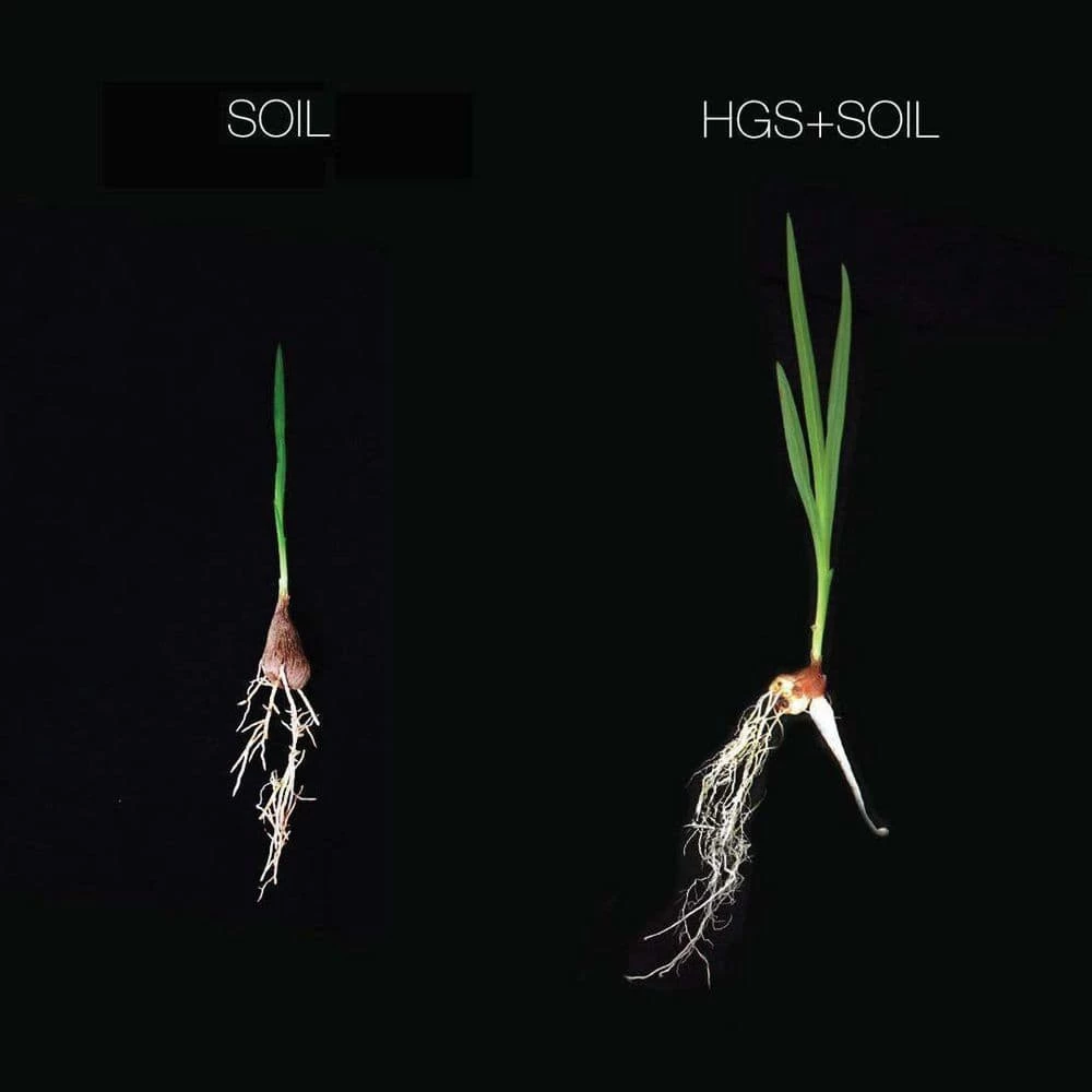 New β Organic Soil Amendment by HARVEST GOLD ORGANICS π 2 New β Organic Soil Amendment by HARVEST GOLD ORGANICS π - Image 2