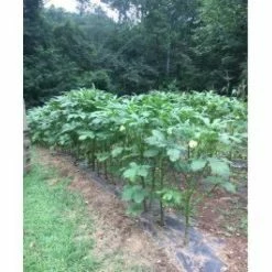 Best deal 🔔 1.5 cu.ft. (38.5 Qts) Organic Garden Soil by Head River Organics 🧨 -Organic Gardening Shop head river organics garden soil hrgs 1 5 44 1000