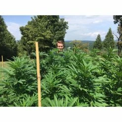 New 🔔 8 Oz. Microbial Root Probiotic/Soil Amendment by Head River Organics 🔥 -Organic Gardening Shop head river organics grow media hrh2 8 1f 1000