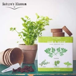 Top 10 🛒 4 Seed Basil, Cilantro, Parsley and Thyme Herb Garden Kit by Nature's Blossom 💯 -Organic Gardening Shop herb plants x00108aax9 1f 1000