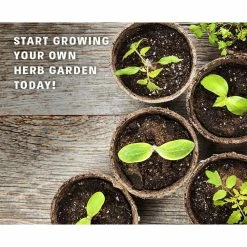 Top 10 🛒 4 Seed Basil, Cilantro, Parsley and Thyme Herb Garden Kit by Nature's Blossom 💯 -Organic Gardening Shop herb plants x00108aax9 44 1000