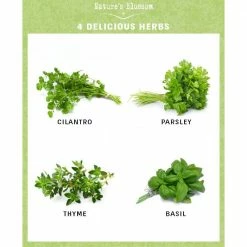 Top 10 🛒 4 Seed Basil, Cilantro, Parsley and Thyme Herb Garden Kit by Nature's Blossom 💯 -Organic Gardening Shop herb plants x00108aax9 4f 1000
