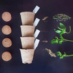 Organic Gardening Shop -Organic Gardening Shop herb plants x00108aax9 c3 1000