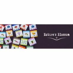 Top 10 🛒 4 Seed Basil, Cilantro, Parsley and Thyme Herb Garden Kit by Nature's Blossom 💯 -Organic Gardening Shop herb plants x00108aax9 d4 1000