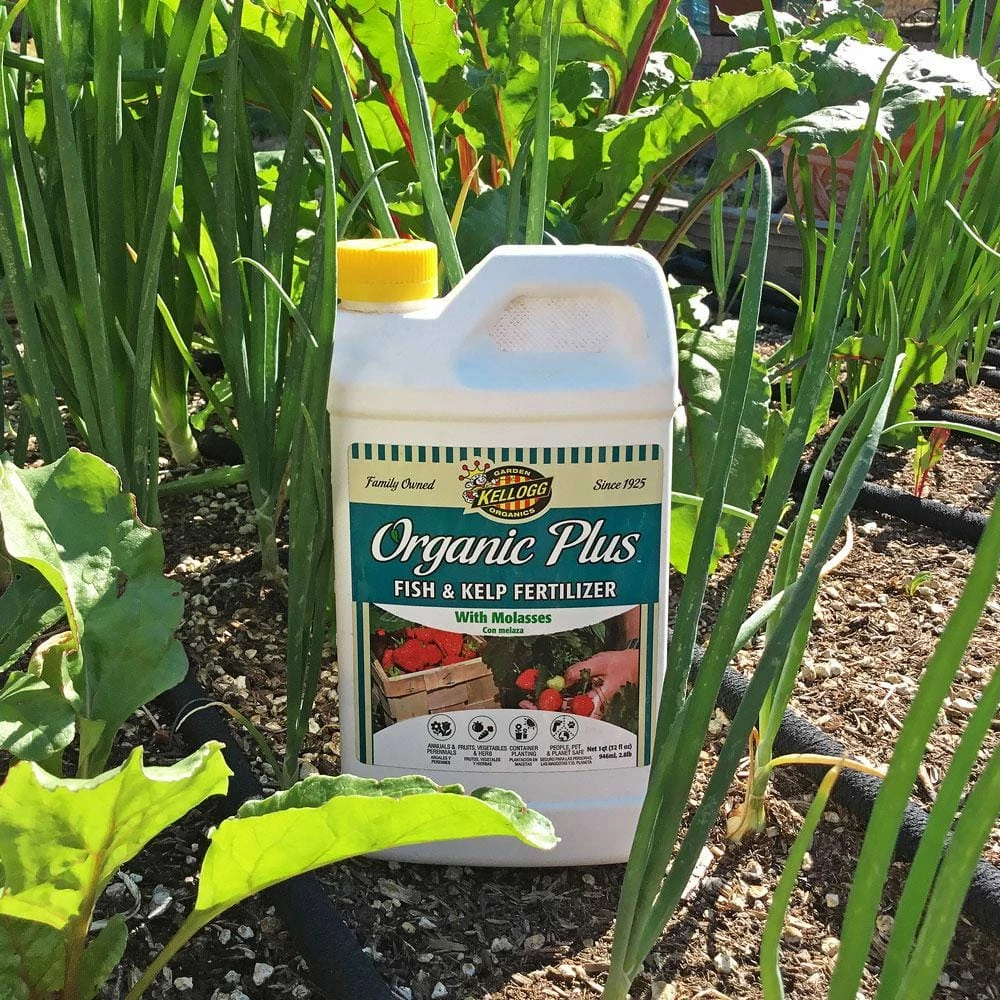 Best deal π 32 oz. Organic Fish and Kelp Liquid Fertilizer by Kellogg Garden Organics β¨ 4 Best deal π 32 oz. Organic Fish and Kelp Liquid Fertilizer by Kellogg Garden Organics β¨ - Image 4