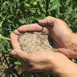 Flash Sale 🎁 11.5 lb. Organic Tomato Vegetable and Herb Fertilizer by Kellogg Garden Organics 👍 -Organic Gardening Shop kellogg garden organics organic plant food 3010 4f 1000