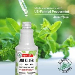 New ✨ 16 oz. Ant Killer Peppermint Spray by Mighty Mint ⭐ -Organic Gardening Shop mighty mint bug killer spray as 16 1f 1000