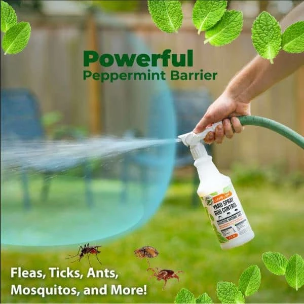 Deals π 32 oz. Yard Spray Bug Control Peppermint Spray by Mighty Mint π₯ 2 Deals π 32 oz. Yard Spray Bug Control Peppermint Spray by Mighty Mint π₯ - Image 2