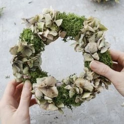 Flash Sale 𧨠3 oz. Reindeer Moss in Dark Green by Mosser Lee 𧨠13 Flash Sale 𧨠3 oz. Reindeer Moss in Dark Green by Mosser Lee 𧨠-Organic Gardening Shop mosser lee organic potting soil 3010 44 1000