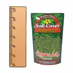Flash Sale 𧨠3 oz. Reindeer Moss in Dark Green by Mosser Lee 𧨠15 Flash Sale 𧨠3 oz. Reindeer Moss in Dark Green by Mosser Lee 𧨠-Organic Gardening Shop mosser lee organic potting soil 3010 76 1000