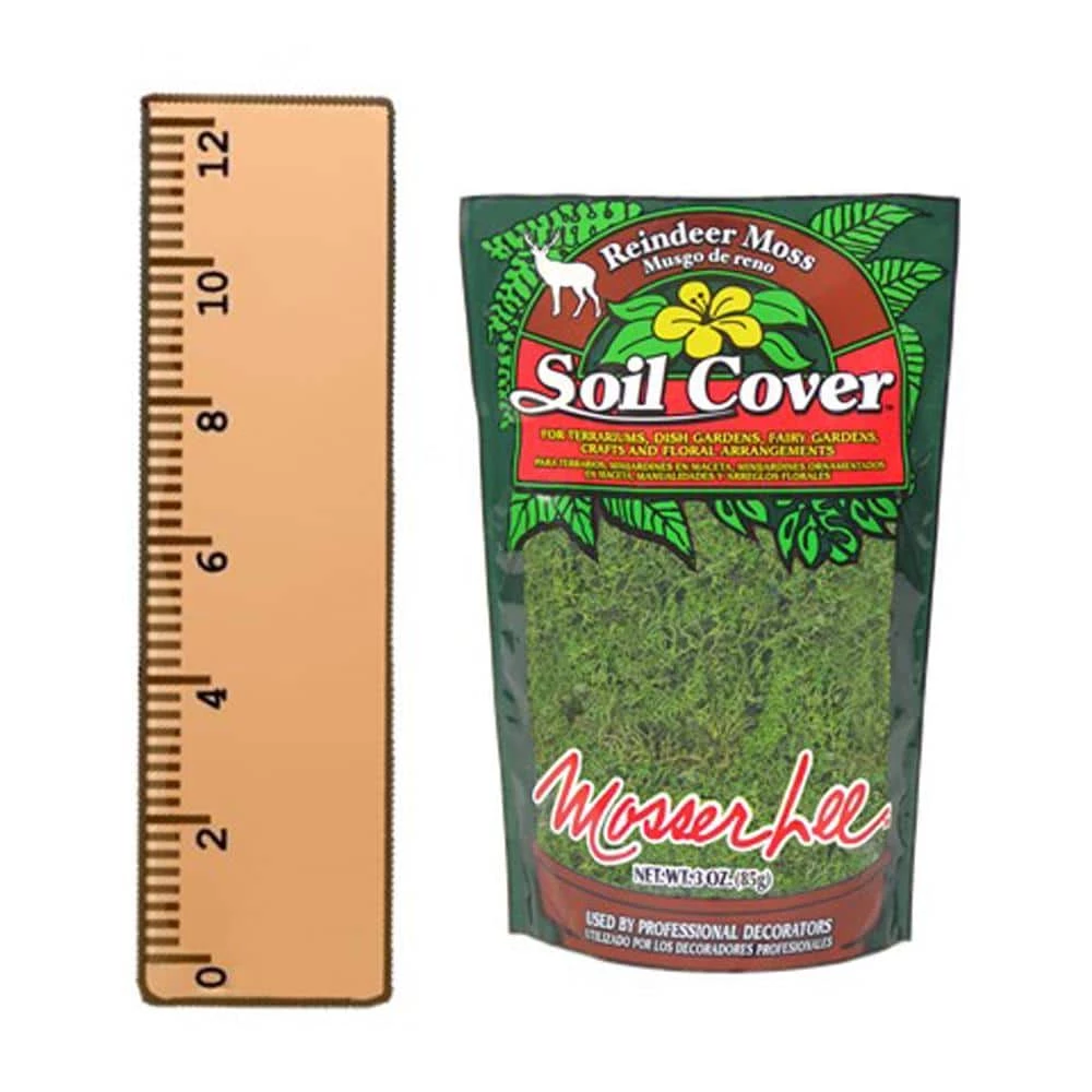 Flash Sale 𧨠3 oz. Reindeer Moss in Dark Green by Mosser Lee 𧨠8 Flash Sale 𧨠3 oz. Reindeer Moss in Dark Green by Mosser Lee 𧨠- Image 8