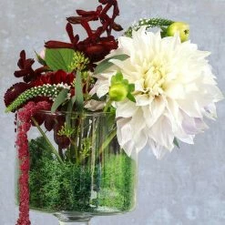 Flash Sale 𧨠3 oz. Reindeer Moss in Dark Green by Mosser Lee 𧨠10 Flash Sale 𧨠3 oz. Reindeer Moss in Dark Green by Mosser Lee 𧨠-Organic Gardening Shop mosser lee organic potting soil 3010 c3 1000