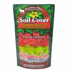 Flash Sale 🤩 3 oz. Reindeer Moss Assorted Collection by Mosser Lee ✔️