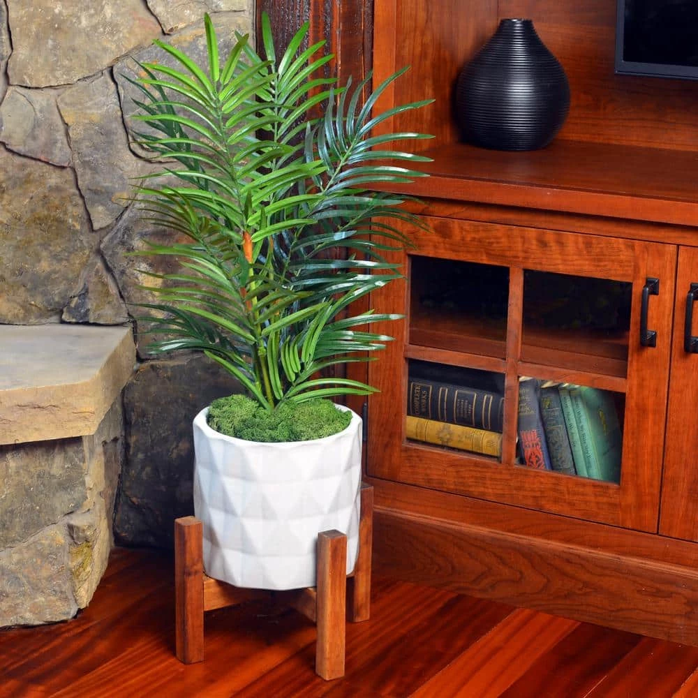 Flash Sale π€© 3 oz. Reindeer Moss Assorted Collection by Mosser Lee βοΈ 3 Flash Sale π€© 3 oz. Reindeer Moss Assorted Collection by Mosser Lee βοΈ - Image 3