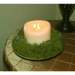 Hot Sale ✨ 325 sq. in. Sheet Moss Soil Cover by Mosser Lee 🔥 -Organic Gardening Shop mosser lee organic potting soil ml0460 8 1f 1000