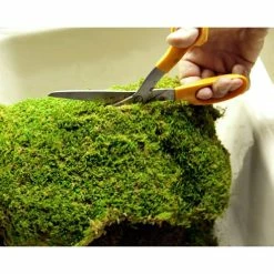 Hot Sale ✨ 325 sq. in. Sheet Moss Soil Cover by Mosser Lee 🔥 -Organic Gardening Shop mosser lee organic potting soil ml0460 8 4f 1000