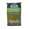 Hot Sale ✨ 325 sq. in. Sheet Moss Soil Cover by Mosser Lee 🔥