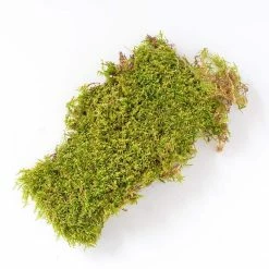 Hot Sale ✨ 325 sq. in. Sheet Moss Soil Cover by Mosser Lee 🔥 -Organic Gardening Shop mosser lee organic potting soil ml0460 8 a0 1000