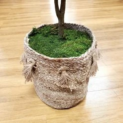 Hot Sale ✨ 325 sq. in. Sheet Moss Soil Cover by Mosser Lee 🔥 -Organic Gardening Shop mosser lee organic potting soil ml0460 8 c3 1000