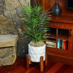 Coupon 🌟 250 cu. in. Spanish Moss Soil Cover by Mosser Lee 😍 -Organic Gardening Shop mosser lee organic potting soil ml0560 8 1f 1000