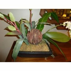 Coupon 🌟 250 cu. in. Spanish Moss Soil Cover by Mosser Lee 😍 -Organic Gardening Shop mosser lee organic potting soil ml0560 8 44 1000