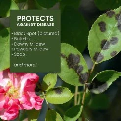 Best reviews of π 24 oz. Ready-to-Use Neem Oil by Natria π₯° 9 Best reviews of π 24 oz. Ready-to-Use Neem Oil by Natria π₯° -Organic Gardening Shop natria bug killer spray 706250b 4f 1000