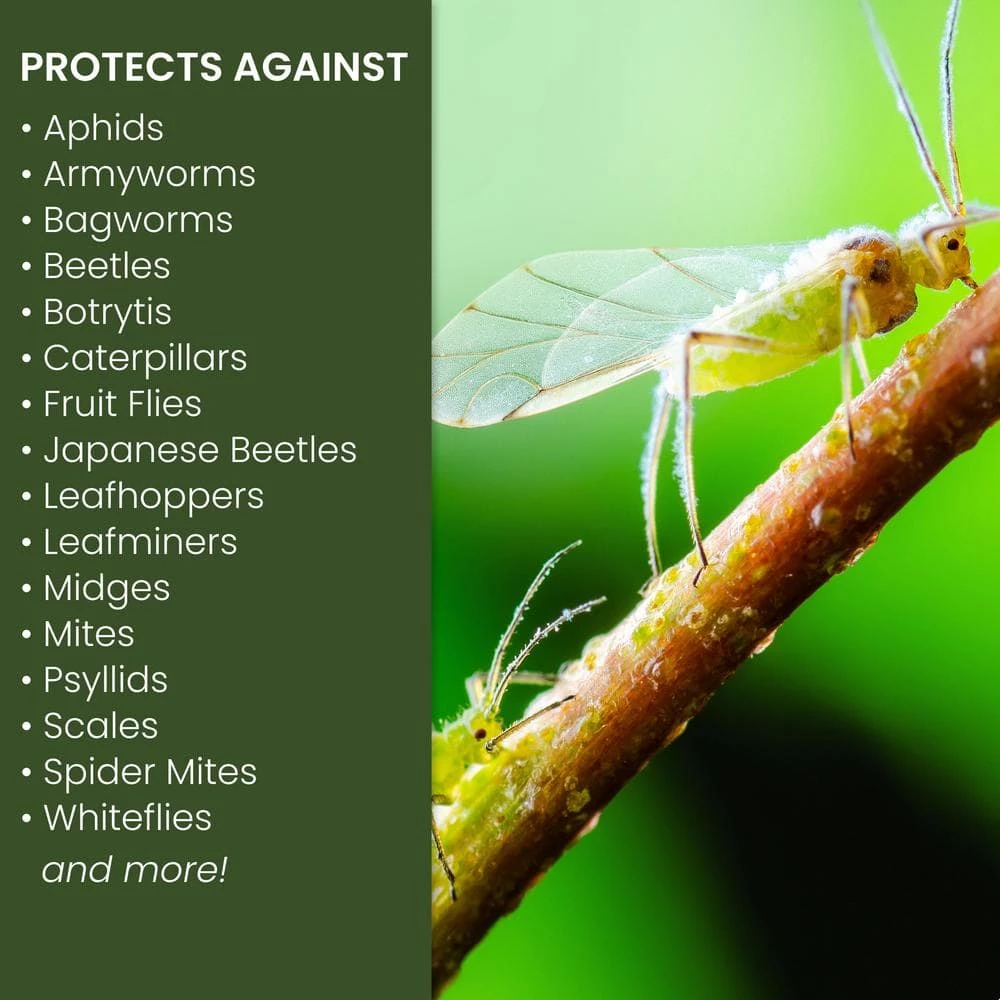 Best reviews of π 24 oz. Ready-to-Use Neem Oil by Natria π₯° 2 Best reviews of π 24 oz. Ready-to-Use Neem Oil by Natria π₯° - Image 2